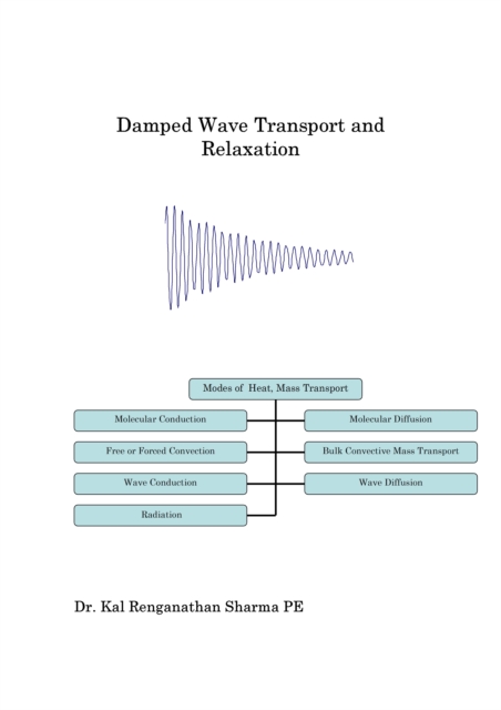 Damped Wave Transport and Relaxation, PDF eBook