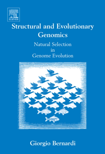 Structural and Evolutionary Genomics : Natural Selection in Genome Evolution, PDF eBook