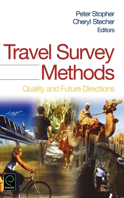 Travel Survey Methods : Quality and Future Directions, PDF eBook