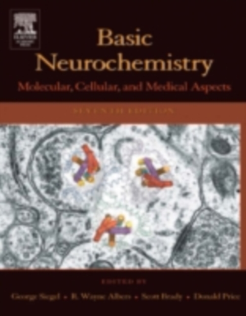Basic Neurochemistry : Molecular, Cellular and Medical Aspects, PDF eBook