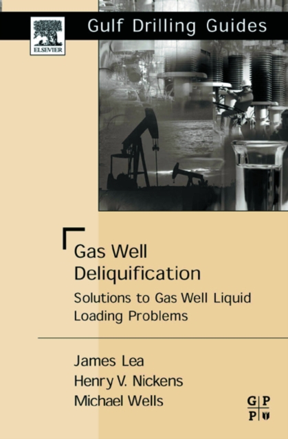 Gas Well Deliquification : Solutions to Gas Well Liquid Loading Problems, PDF eBook