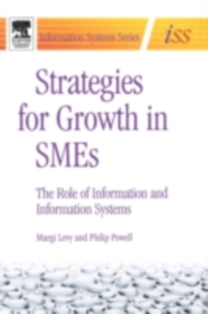 Strategies for Growth in SMEs : The Role of Information and Information Sytems, PDF eBook