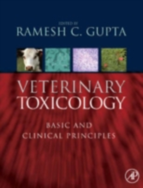 Veterinary Toxicology : Basic and Clinical Principles, PDF eBook