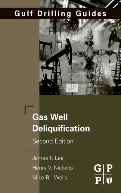 Gas Well Deliquification, PDF eBook