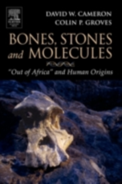 Bones, Stones and Molecules : "Out of Africa" and Human Origins, PDF eBook