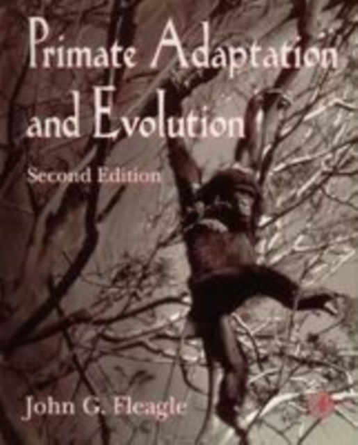 Primate Adaptation and Evolution, PDF eBook