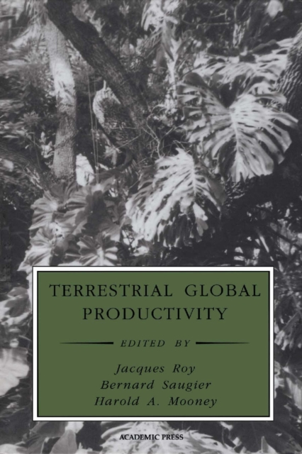 Terrestrial Global Productivity, PDF eBook