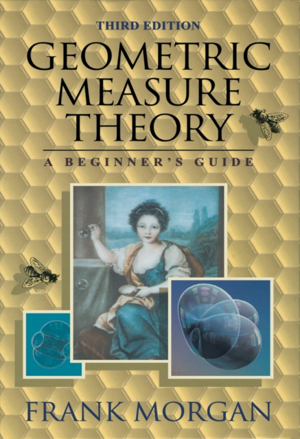 Geometric Measure Theory : A Beginner's Guide, PDF eBook