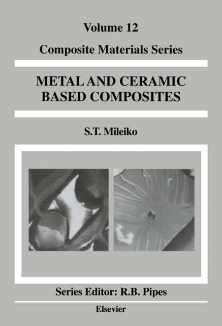 Metal and Ceramic Based Composites, PDF eBook