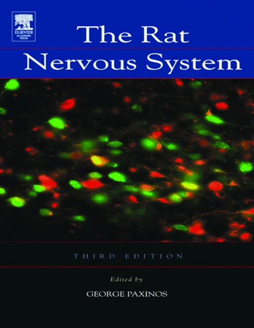 The Rat Nervous System, PDF eBook