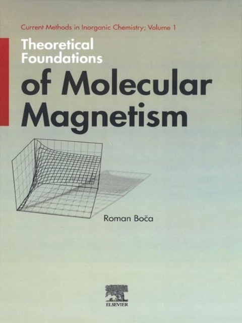 Theoretical Foundations of Molecular Magnetism, PDF eBook