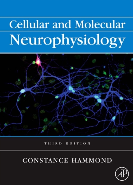 Cellular and Molecular Neurophysiology, PDF eBook