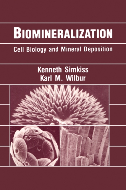 Biomineralization, PDF eBook