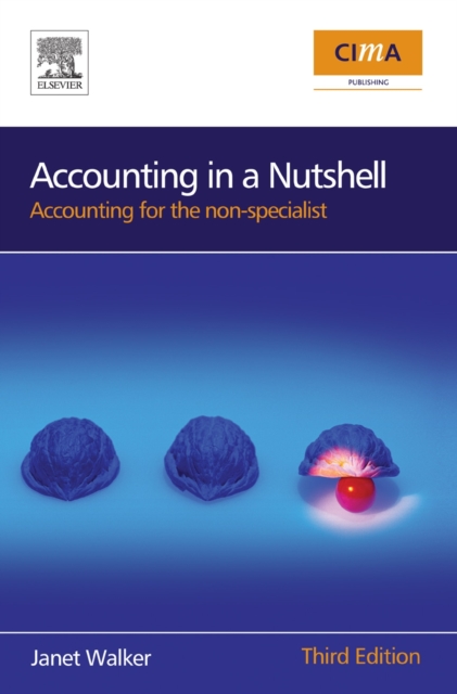Accounting in a Nutshell : Accounting for the non-specialist, PDF eBook