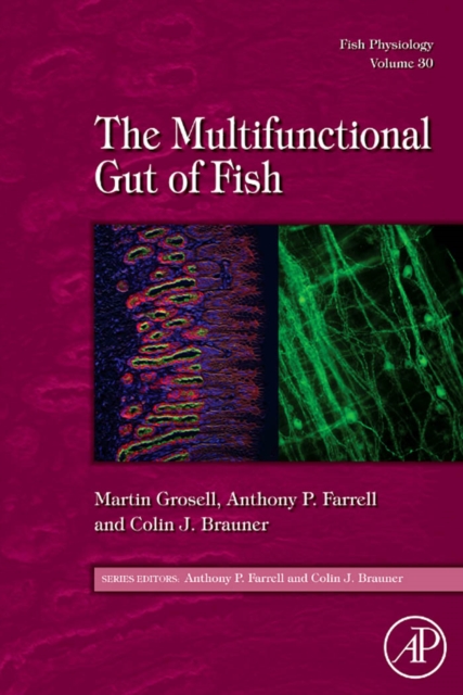 Fish Physiology: The Multifunctional Gut of Fish, PDF eBook