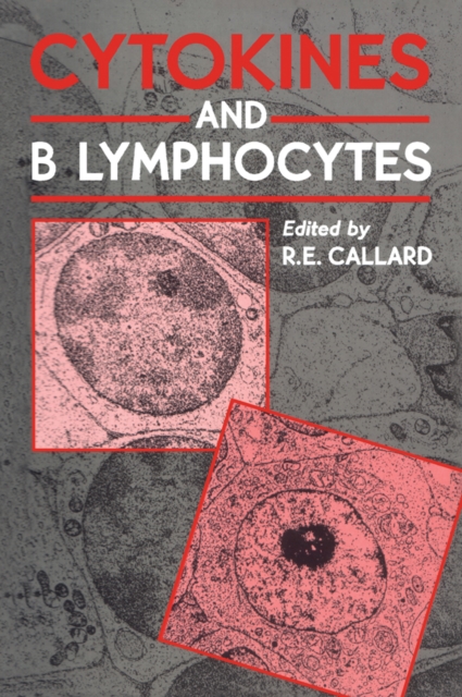 Cytokines and B Lymphocytes, PDF eBook