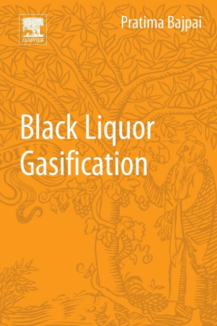 Black Liquor Gasification, Paperback / softback Book