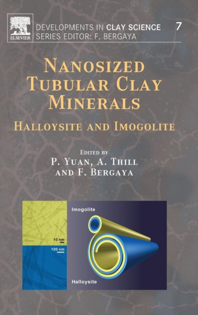 Nanosized Tubular Clay Minerals : Halloysite and Imogolite Volume 7, Hardback Book