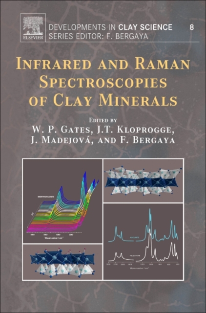 Infrared and Raman Spectroscopies of Clay Minerals : Volume 8, Hardback Book