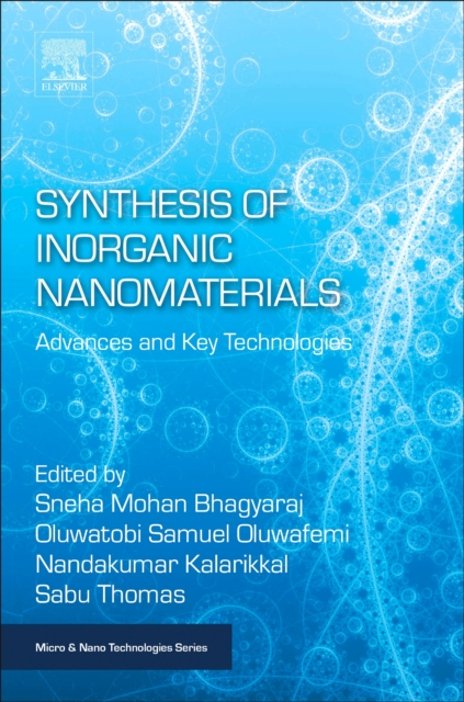 Synthesis of Inorganic Nanomaterials : Advances and Key Technologies, Paperback / softback Book