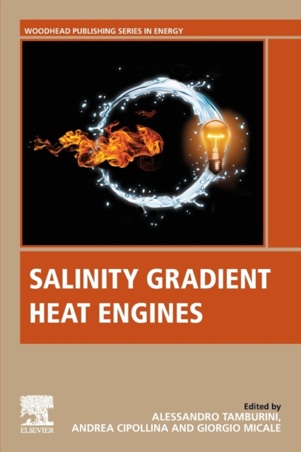 Salinity Gradient Heat Engines, Paperback / softback Book