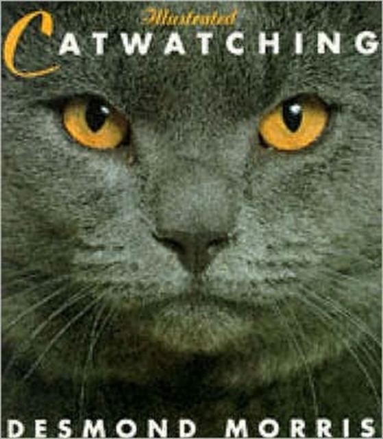 Illustrated Catwatching, Paperback / softback Book