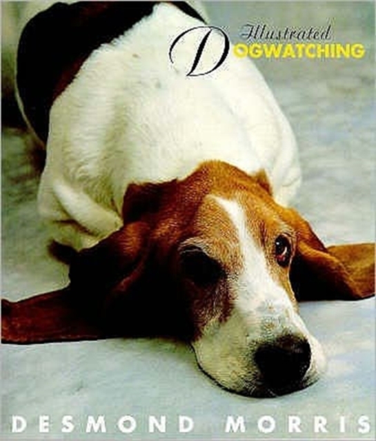 Illustrated Dogwatching, Paperback / softback Book