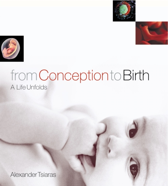 From Conception To Birth, Hardback Book