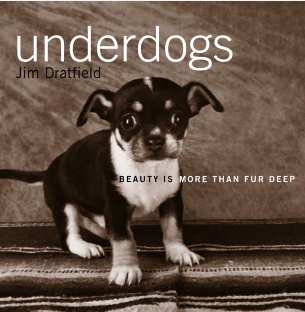 Underdogs, Paperback / softback Book