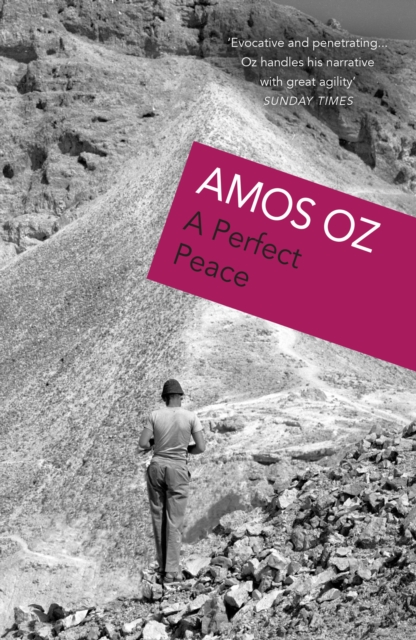 A Perfect Peace, Paperback / softback Book