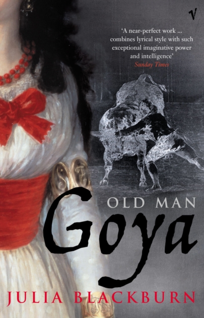 Old Man Goya, Paperback / softback Book
