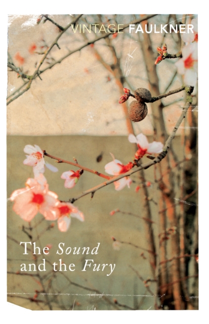 The Sound and the Fury, Paperback / softback Book