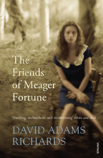 The Friends of Meager Fortune, Paperback / softback Book
