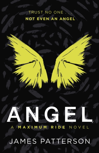 Angel: A Maximum Ride Novel : (Maximum Ride 7), Paperback / softback Book
