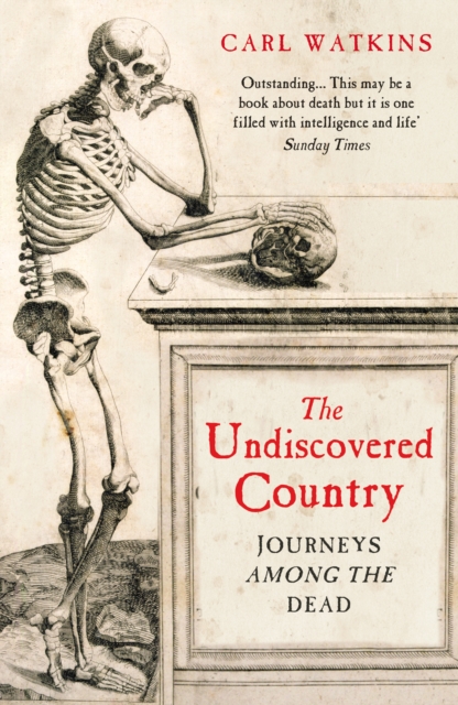 The Undiscovered Country : Journeys Among the Dead, Paperback / softback Book