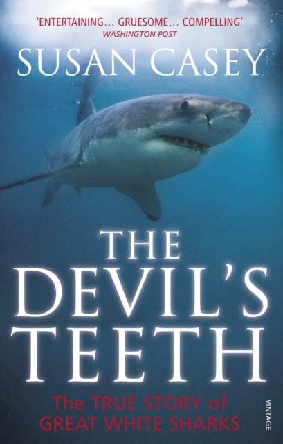 The Devil's Teeth : The True Story of Great White Sharks, Paperback / softback Book