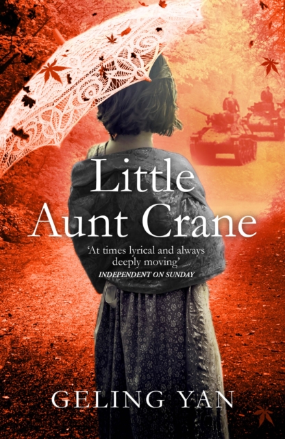 Little Aunt Crane, Paperback / softback Book