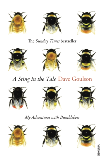 A Sting in the Tale : My Adventures with Bumblebees, Paperback / softback Book