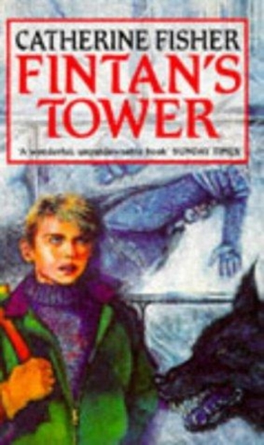 Fintan's Tower, Paperback Book