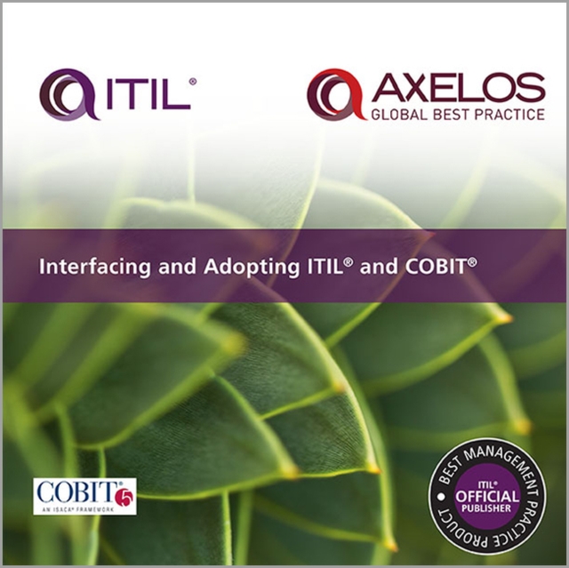 Interfacing and Adopting ITIL and COBIT, Paperback / softback Book