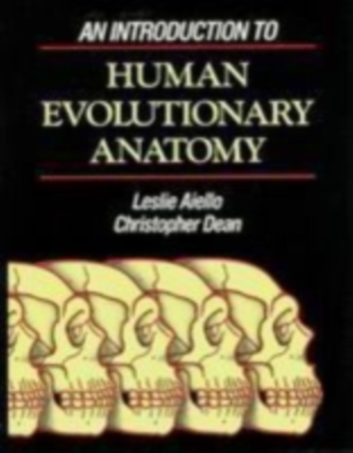 An Introduction to Human Evolutionary Anatomy, Paperback / softback Book