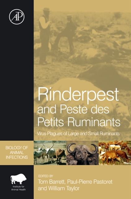 Rinderpest and Peste des Petits Ruminants : Virus Plagues of Large and Small Ruminants, Hardback Book
