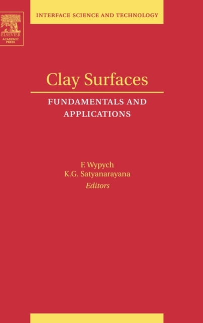Clay Surfaces : Fundamentals and Applications Volume 1, Hardback Book