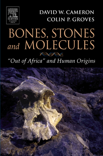 Bones, Stones and Molecules : "Out of Africa" and Human Origins, Paperback / softback Book