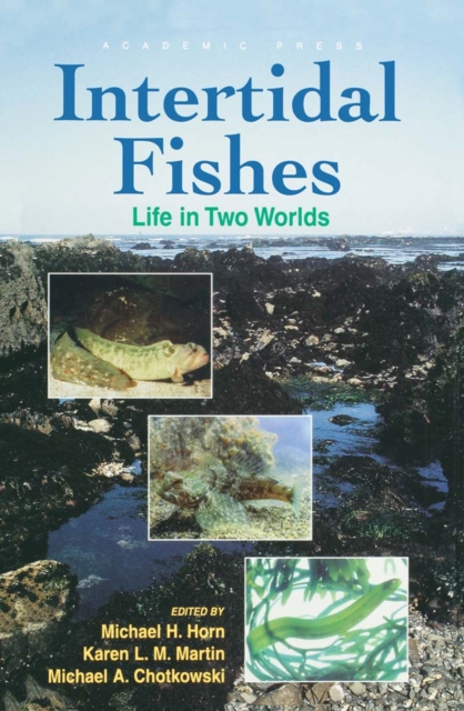 Intertidal Fishes : Life in Two Worlds, Hardback Book