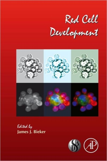 Red Cell Development : Volume 82, Hardback Book