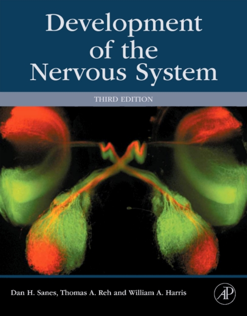 Development of the Nervous System, Hardback Book