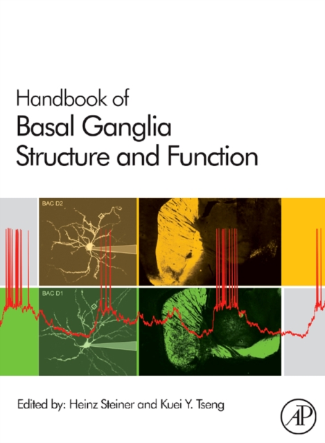 Handbook of Basal Ganglia Structure and Function : Volume 24, Hardback Book