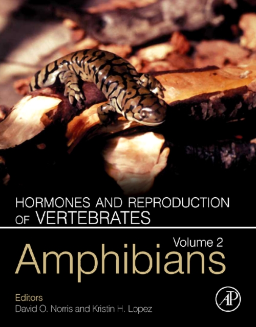Hormones and Reproduction of Vertebrates, Volume 2 : Amphibians, Hardback Book