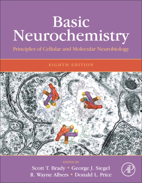 Basic Neurochemistry : Principles of Molecular, Cellular, and Medical Neurobiology, Hardback Book